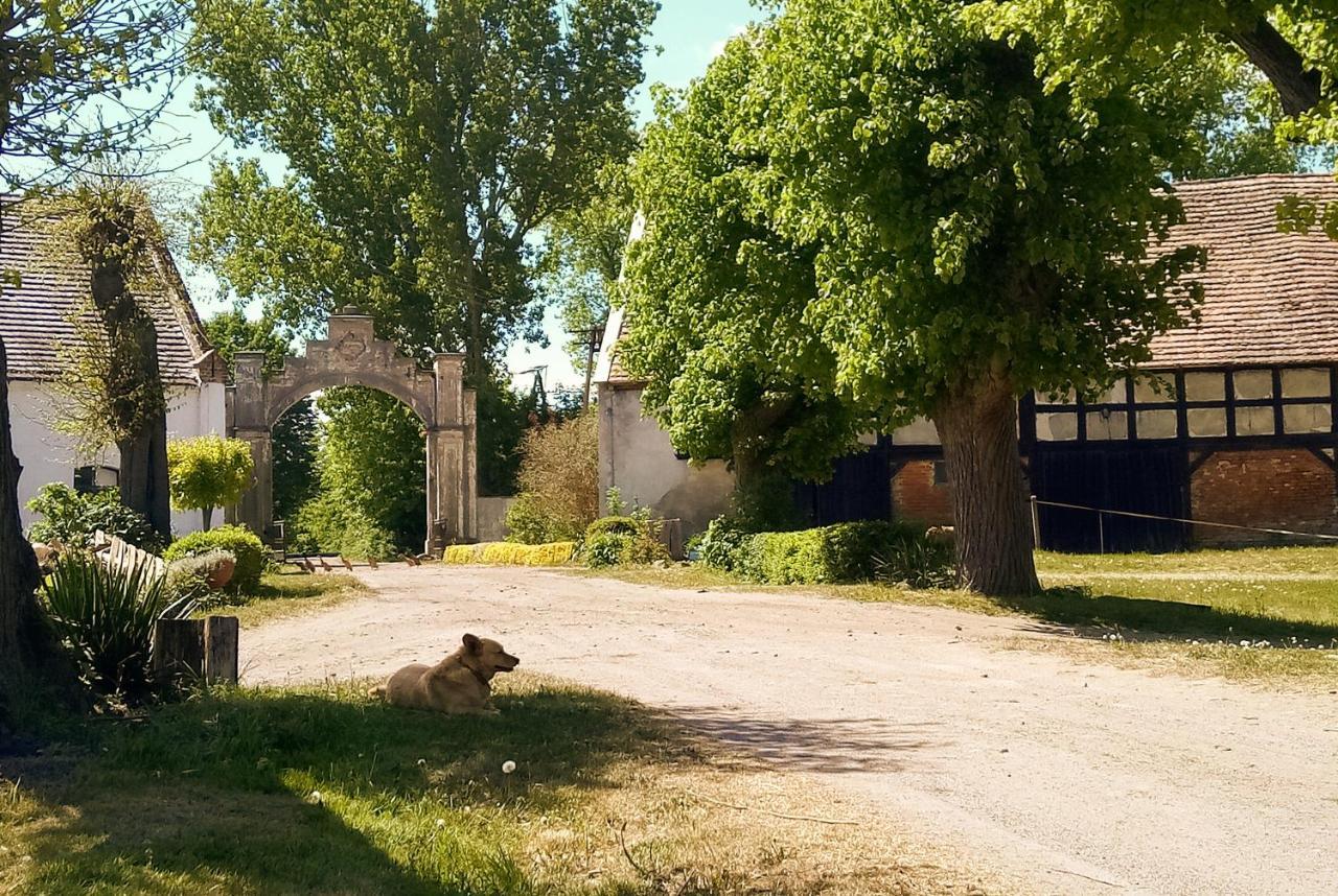 Studniska Horse Centrum Exteriör bild