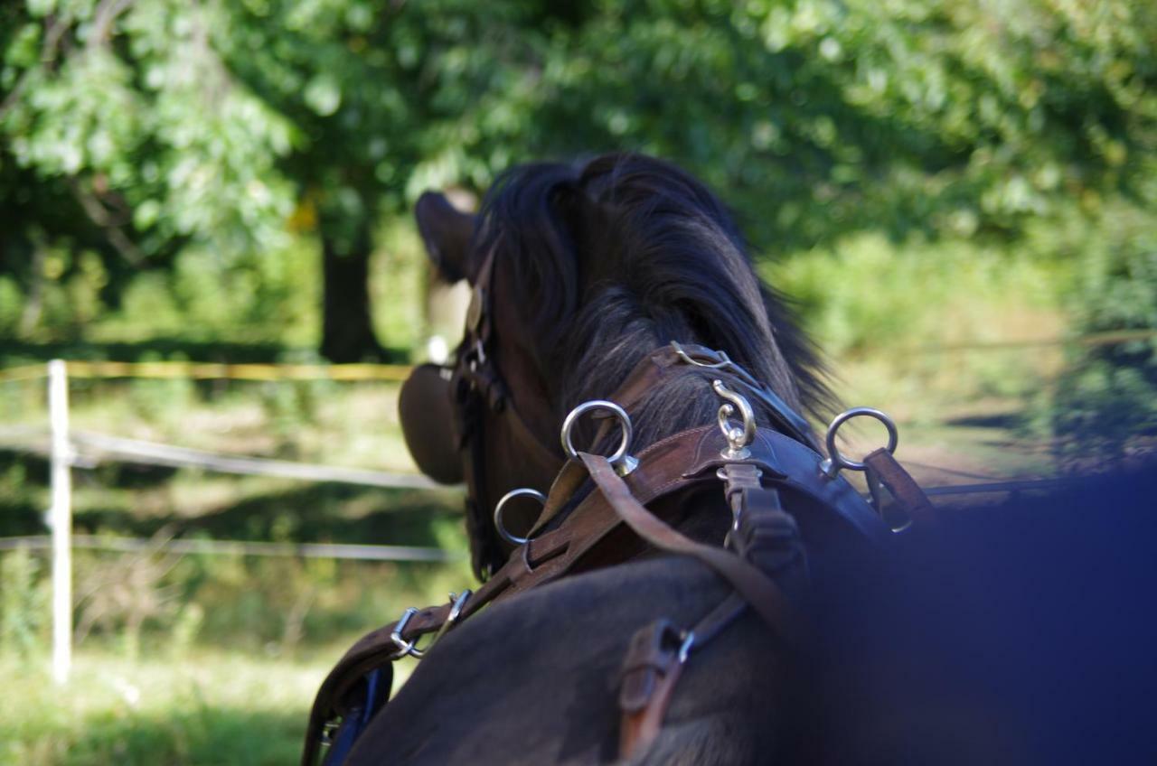 Studniska Horse Centrum Exteriör bild