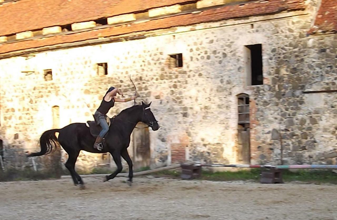 Studniska Horse Centrum Exteriör bild