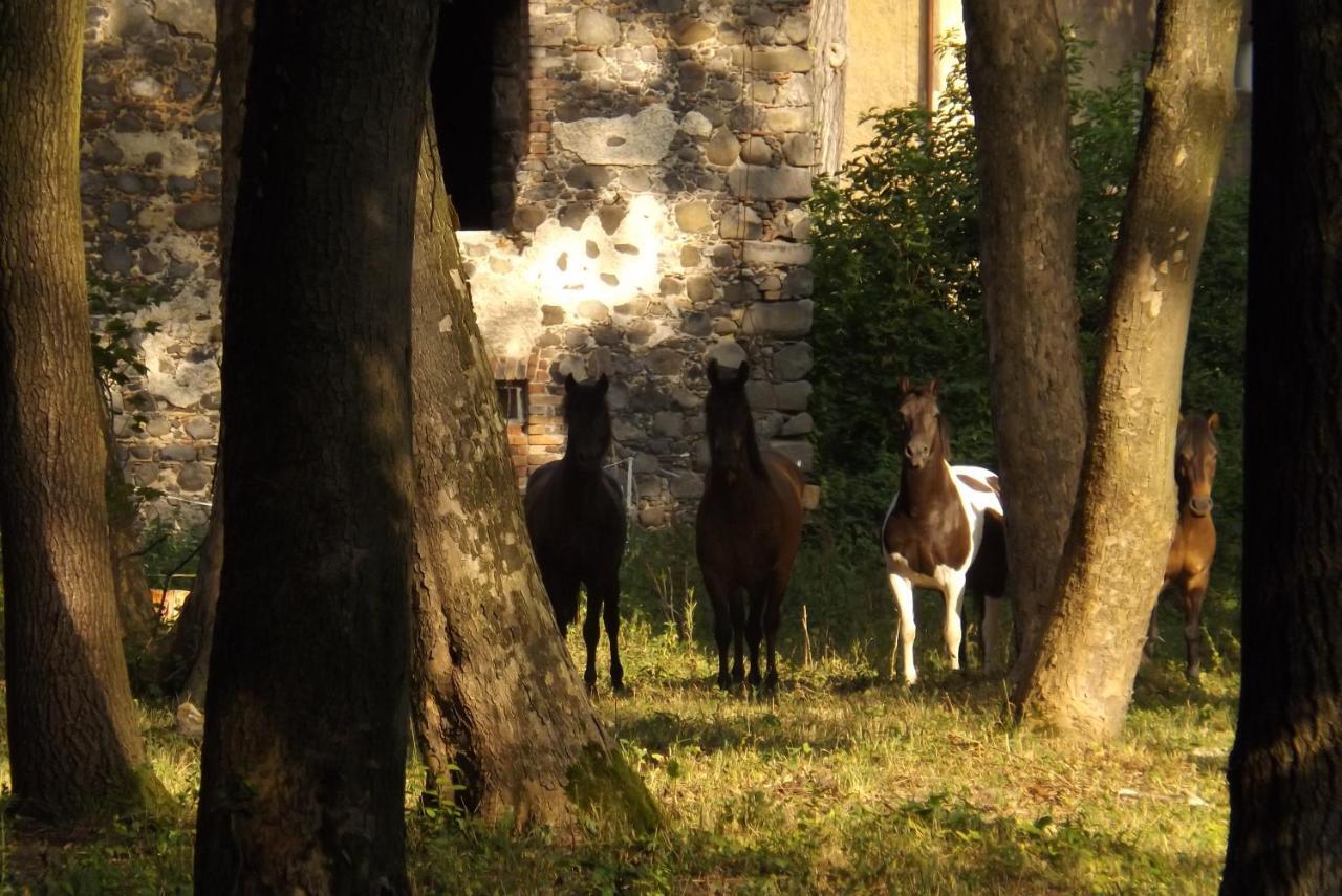 Studniska Horse Centrum Exteriör bild